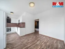 Pronájem bytu 2+kk, Plzeň - Východní Předměstí, 48 m2