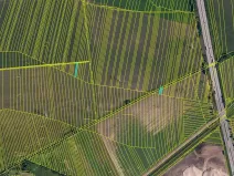 Prodej pole, Blučina, 19297 m2