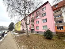 Prodej bytu 1+1, Cheb, Lesní, 36 m2