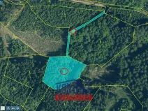 Prodej lesa, Kasejovice - Chloumek, 4325 m2