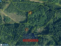 Prodej lesa, Kasejovice - Chloumek, 4325 m2