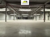 Pronájem výrobních prostor, Bor - Nová Hospoda, 6928 m2