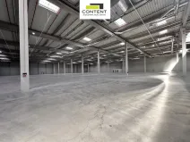 Pronájem výrobních prostor, Údlice, Droužkovická, 15000 m2