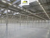 Pronájem výrobních prostor, Hladké Životice, Kujavská, 29000 m2