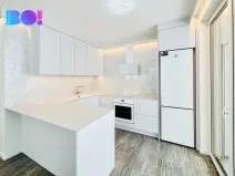 Pronájem bytu 3+kk, Ostrava, F. X. Riepla, 101 m2