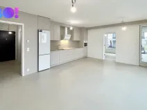 Pronájem bytu 2+kk, Ostrava, F. X. Riepla, 65 m2