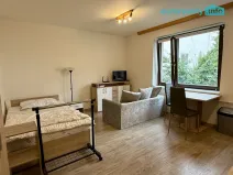 Pronájem bytu 1+kk, Tachov, Boženy Němcové, 28 m2