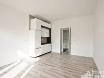 Pronájem bytu 1+kk, Praha - Žižkov, Bořivojova, 31 m2