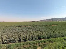 Prodej podílu pozemku pro bydlení, Martinice, 1521 m2