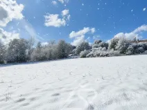 Prodej pozemku, Sušice - Záluží, 3500 m2