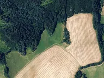 Prodej louky, Kunštát, 11758 m2