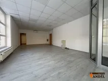 Pronájem obchodního prostoru, Havířov, Dlouhá třída, 55 m2