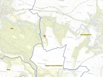 Prodej lesa, Ronov nad Doubravou, 964 m2