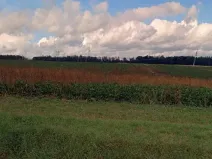 Prodej pole, Velichovky, 10641 m2