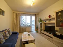 Pronájem bytu 2+1, Plzeň - Severní Předměstí, Pod Záhorskem, 46 m2