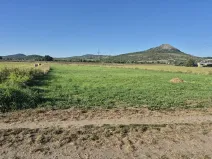 Prodej pole, Píšťany, 5816 m2