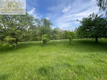 Prodej pozemku, Hřibojedy, 2371 m2