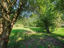 Prodej pozemku pro bydlení, Zlatá Olešnice, 4188 m2