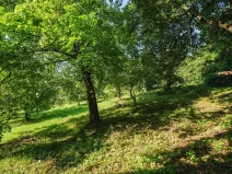 Prodej pozemku pro bydlení, Zlatá Olešnice, 4188 m2