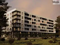 Prodej bytu 2+kk, Golem, 63 m2