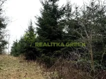 Prodej lesa, Konice, 3343 m2