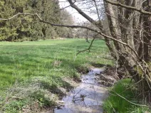 Prodej pole, Mezno - Stupčice, 8388 m2