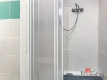 Prodej bytu 4+1, Brno - Zábrdovice, Cejl, 53 m2