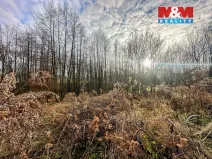 Prodej pozemku pro bydlení, Petřvald, Ostravská, 4322 m2