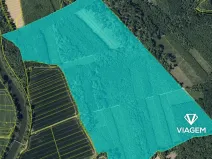 Prodej podílu lesa, Uhřičice, 2517 m2