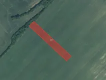 Prodej podílu pole, Mutěnice, 2000 m2