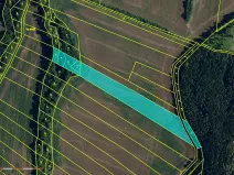 Prodej pole, Babice u Rosic, 15167 m2