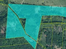 Prodej lesa, Branice, 82524 m2