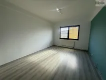 Pronájem bytu 2+kk, Litvínov - Horní Litvínov, Koldům, 49 m2