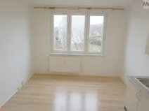 Pronájem bytu 1+1, Chomutov, Matěje Kopeckého, 36 m2