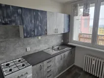 Pronájem bytu 1+1, Most, Višňová, 34 m2
