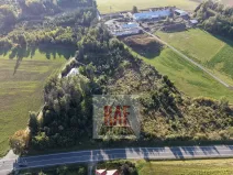 Prodej lesa, Sazomín, 11295 m2