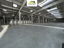 Pronájem výrobních prostor, Ostrava - Vítkovice, 16000 m2