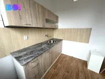 Pronájem bytu 3+kk, Třinec, Lidická, 99 m2