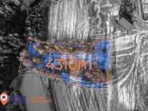 Prodej pozemku pro bydlení, Česká Čermná, 4310 m2