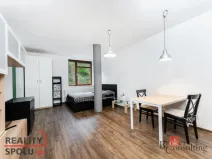 Prodej bytu 1+kk, Praha - Nusle, Pod Děkankou, 35 m2