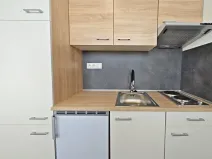 Pronájem bytu 1+kk, Pardubice - Zelené Předměstí, Palackého třída, 36 m2