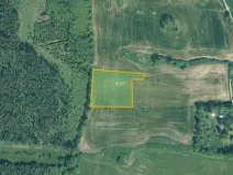 Prodej louky, Cerhonice, 41957 m2