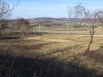 Prodej pozemku, Řehlovice - Radejčín, 2962 m2