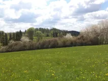 Prodej pozemku, Vítkov, 5357 m2