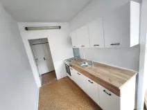 Pronájem bytu 1+1, Plzeň, Krejčíkova, 43 m2