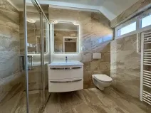 Pronájem bytu 2+kk, Brno, Mahenova, 50 m2