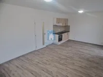 Pronájem bytu 1+kk, Plzeň, Železniční, 44 m2
