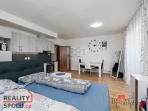 Pronájem bytu 1+kk, Heřmanova Huť - Vlkýš, U Pondu, 40 m2