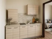 Prodej bytu 1+1, Ostrava - Slezská Ostrava, Bohumínská, 25 m2