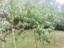 Prodej vily, Praha, 243 m2